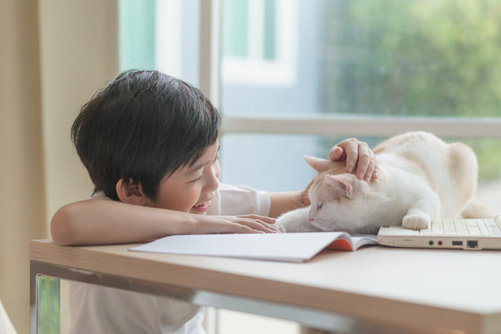 猫と楽しく快適に暮らすためのヒントをご紹介します